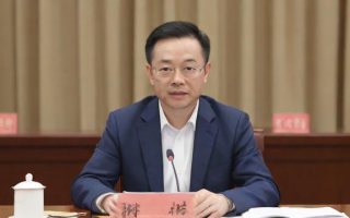 张银平研究生，如何平衡学术探索与职业发展？