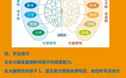 幼儿思维有哪些典型特点？