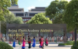 北京戏曲大学录取分数线2025是多少分？