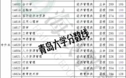 2025青岛大学录取分数线何时公布？