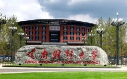 西财金融和武大哪个好