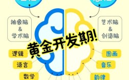 右脑思维的人，天赋优势与认知边界在哪？