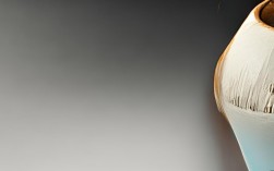 2025新思维陶瓷质量如何?最新评价怎么样?