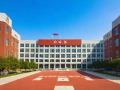 青岛5中学校教学质量、师资和升学率怎么样？
