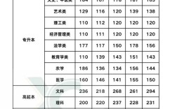 滨江大学分数多少录取