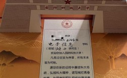 大学生考研当兵，如何选？