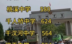 舒城中学高中录取分多少