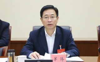 如何高效利用北京大学研究生招生网进行备考与申请？
