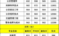警察专业高考录取分数线是多少？