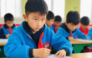 小学教育的现状与挑战，我们的孩子真的得到了最好的教育吗？