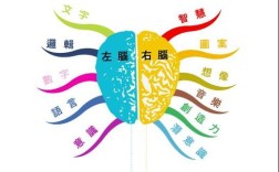 什么是转思维体？