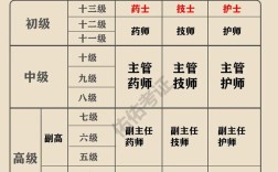 卫生高级专业报名条件具体有哪些要求？