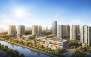 江苏晟曦公司的表现如何？