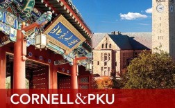 北大生态学属于哪个院系？