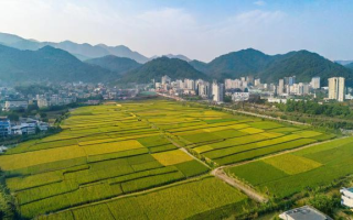 川农旅游管理研究生