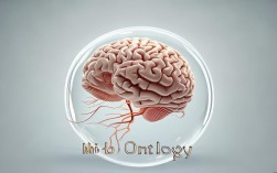 思维本体学如何破解当下认知焦虑？