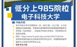 二本能上985？还是认清现实？