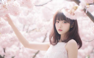 樱花在日文中如何书写？