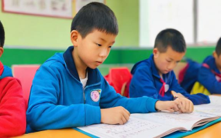 小学教育专业怎么样