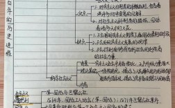 毛中特和马原，该先学哪个？