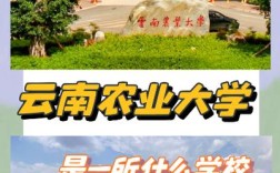 云南农业大学哪个学院实力强？