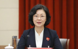 辛玉娟研究生期间的研究成果有哪些值得关注？