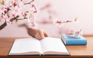 春考怎么报名（春考考试流程）