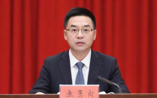 研究生袁若凡的学术专长和研究方向是什么？