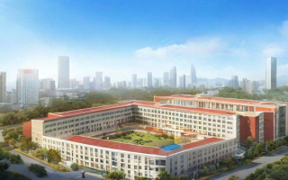深圳市盐田高中教学质量如何？师资、升学率全面解析