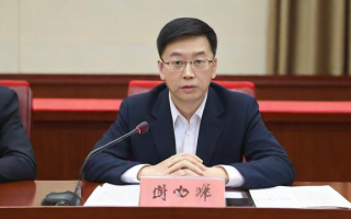语文是怎么样的（语文是怎么样的学科）