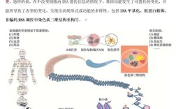 遗传学属于哪个专业大类？