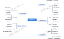 系统思维如何在实际案例中应用？
