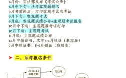 2010司法考试报名条件