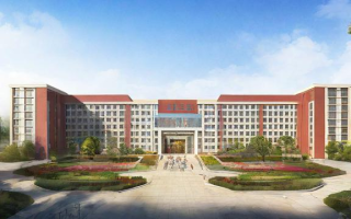 杨村第十中学的教学质量和校园环境如何？