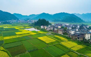 如何写好家乡题材的文章？技巧与灵感分享