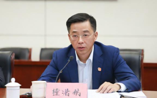国考申论经验有哪些关键要点？