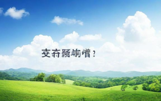 2019年国考副省级申论的答案是什么？