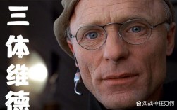 傻帽悲观派是罗辑思维对谁的评价？