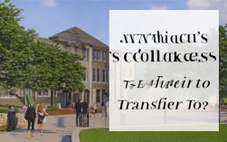 2025师范调剂，哪些学校更易上岸？