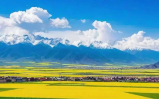 国考山南，国考山南，揭秘公务员考试背后的挑战与机遇