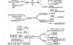 初二地理思维导图该怎么画？