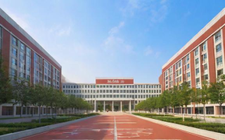 如何评价武汉第十一中学的教育质量和学校环境？