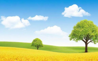 1月到6月英语单词怎么读？实用发音指南