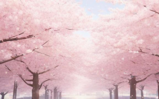 樱花用日语怎么说，樱花在日语中应该如何表达？