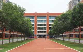 树兰小学的教学质量和校园环境如何？