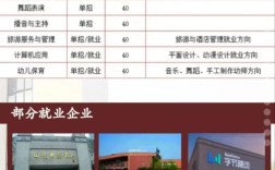 中专舞蹈学校录取分数是多少？