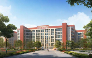 深圳石厦中学怎么样（深圳石厦中学怎么样啊）