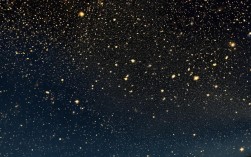 蜂群思维与群星有何联系?能实现群体智能吗?