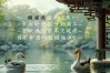 关雎还能这样翻译？古诗混搭现代梗太有趣了！