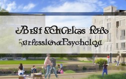 2025在职心理学考研，哪些学校性价比高？